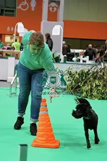 Have A Go Prints: Have a go Agility