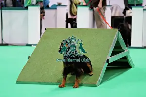 Have A Go Prints: Have a go Agility