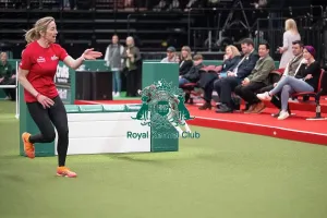 Crufts 2026 Agility Prints: Agility Championships Intermediate/Large final