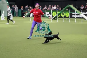 Small Prints: Agility Championships Small/Medium Final