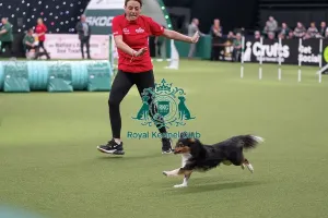 Small Prints: Agility Championships Small/Medium Final