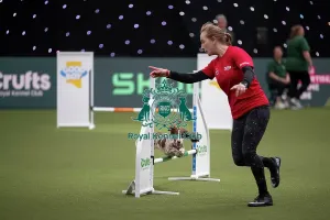 Small Prints: Agility Championships Small/Medium Final