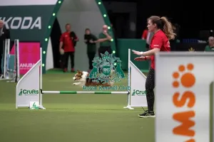 Small Prints: Agility Championships Small/Medium Final