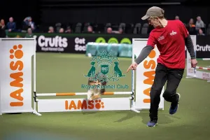 Small Prints: Agility Championships Small/Medium Final
