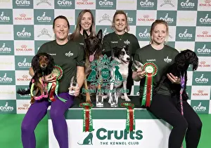 Agility Crufts Novice Cup Final Prints: Agility Crufts Novice Cup Final - Agility Winners