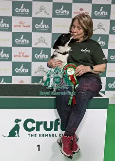 Agility Crufts Novice Cup Final - Medium Overall winner Jo Adams with Devonduet Game on Taboo