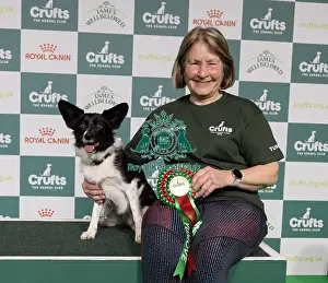 Agility Crufts Novice Cup Final Prints: Agility Crufts Novice Cup Final - Medium Overall winner Jo Adams with Devonduet Game on Taboo