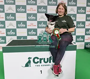 Agility Crufts Novice Cup Final Prints: Agility Crufts Novice Cup Final - Medium Overall winner Jo Adams with Devonduet Game on Taboo