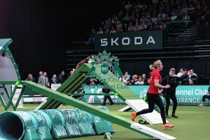 Main Arena Prints: Agility Finals