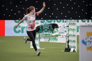 Crufts 2026 Agility Prints: Agility International Invitation