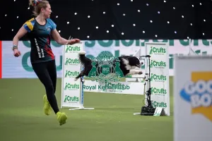 Crufts 2026 Agility Prints: Agility International Invitation