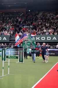 Crufts 2026 Agility Prints: Agility International Invitation
