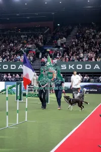Crufts 2026 Agility Prints: Agility International Invitation