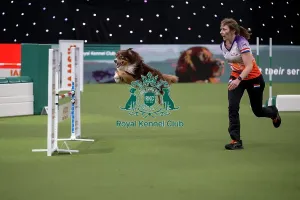 Crufts 2026 Agility Prints: Agility International Invitation