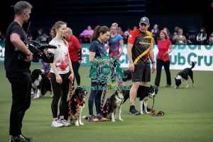Crufts 2026 Agility Prints: Agility International Invitation