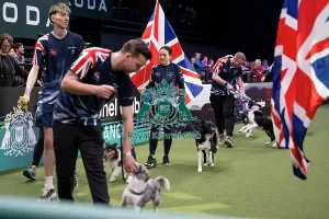 Agility Team GB Parade