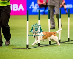 Agility teams - small