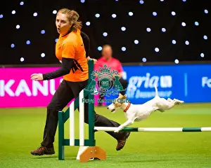 Agility teams - small
