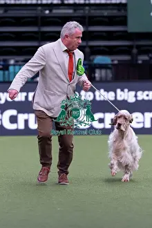 English Setter Prints: Aiden McKiernan from Ballycastle with Osian