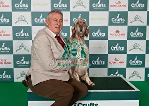 English Setter Prints: Aiden McKiernan from Ballycastle with Osian