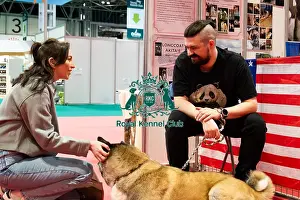Hall 3 Prints: Akita Kimmie Meeting The Public Discover Dogs