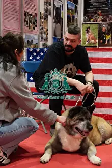 Hall 3 Prints: Akita Kimmie Meeting The Public Discover Dogs