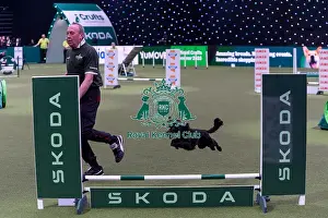 Small Championship Agility Final Prints: Alan Bray with Ticita, Competing in the Small Championship Agility Final