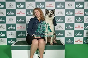 Crufts 2026 Best Of Breed Prints: Alana Blaney from Messingham, with Alice