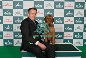 Hungarian Wirehaired Vizsla Prints: Alastair Moss from Burscough, Lancashire with Ozzy