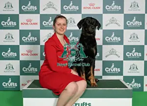 Crufts 2026 Best Of Breed Prints: Alysha Bramshflower from Bristol
