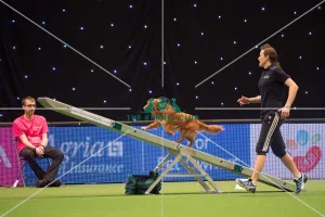Amands Hampson winner of KC British Open Final medium