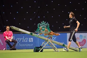 Amands Hampson winner of KC British Open Final medium