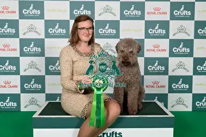 Lagotto Romagnolo Prints: Amber Becker from Kentucky, USA with Chip