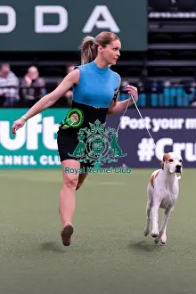 Pointer Prints: Amelia Siddle from Devon with Patsy