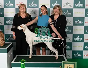 Best In Group Prints: Amelia Siddle from Devon with Patsy