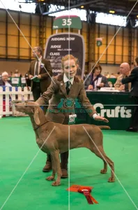Amelia tatum collecting her Basc award