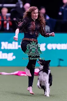 Heelwork To Music Competition Prints: Andrea Deller with Comebyanaway Step In Time