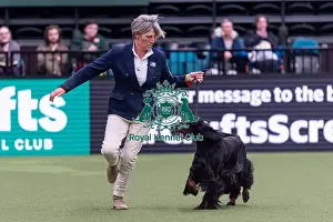Gordon Setter Prints: Angela Phillips and Tereza Watkins from Humberston