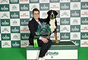 Great Swiss Mountain Dog Prints: Anja Kabza from Poland with Fella