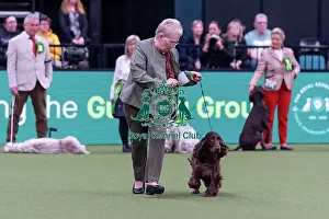 Spaniel Field Prints: Ann Moss fromBurscough, Lancashire with Eric