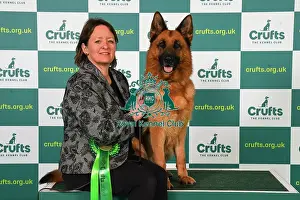 Sitting Prints: Ann Swift from Bath with Zara, a German Shepherd Dog