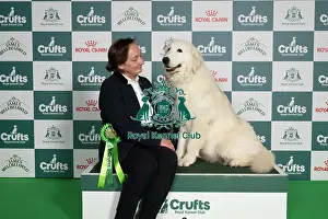Crufts 2026 Best Of Breed Prints: Anna Albrigo, from Italy, with Bossy