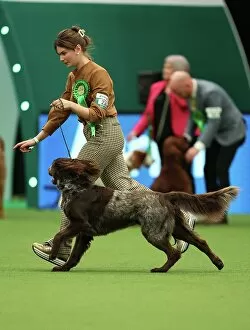 Official photos from Crufts 2023: Annemiek Vanroon and Sophie Roels from Holland with Jack, a German Longhaired Pointer