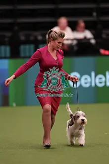Antonia Leech from Wiltshire with Cushla, a Basset Fauve de Bretagne, which was the Best of Breed winner today (Saturday 11. 03. 23), the third day of Crufts 2023, at the NEC Birmingham