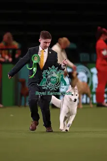 Ashley Sutton from New Aycliffe with Arya, a Siberian Husky, which was the Best of Breed winner today (Friday 10. 03. 23), the second day of Crufts 2023, at the NEC Birmingham