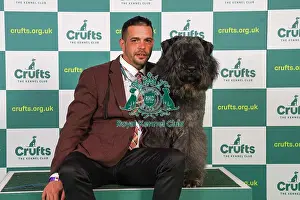 Attile Schlosser from Hungary with, a Bouvier des Flandres, which was the Best of Breed winner today (Friday 10. 03. 23), the second day of Crufts 2023, at the NEC Birmingham