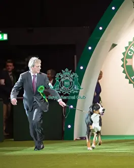 Crufts 2016 Prints: AV Imported Register