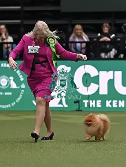 Avril Canthera-Purdy from Cheltenham with Garfield a Pomeranian