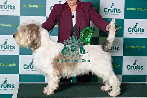 Best of Breed BASSET GRIFFON VENDEEN (PETIT) Crufts 2022