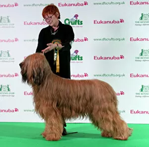 Collections: Crufts 2011